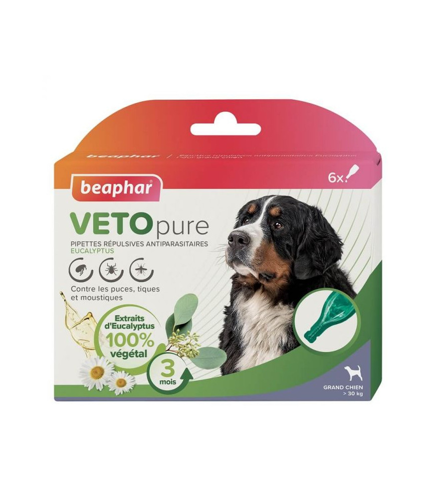 pipette antiparasitaire chien beaphar