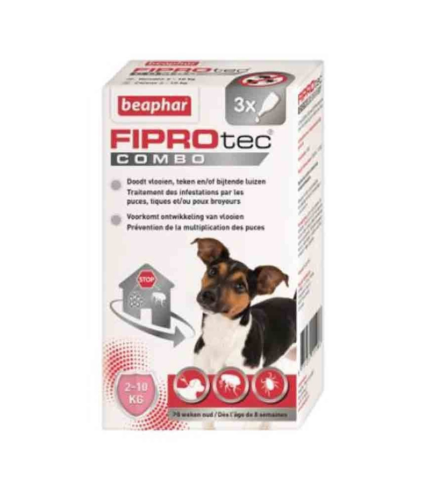 FIPROTEC COMBO BEAPHAR CHIEN PETIT