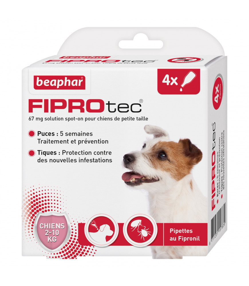 PIPETTES PUCES/TIQUES CHIENS PETITS CHIENS