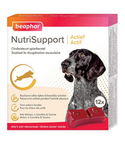 Complément santé Actif 12 gelées - Beaphar