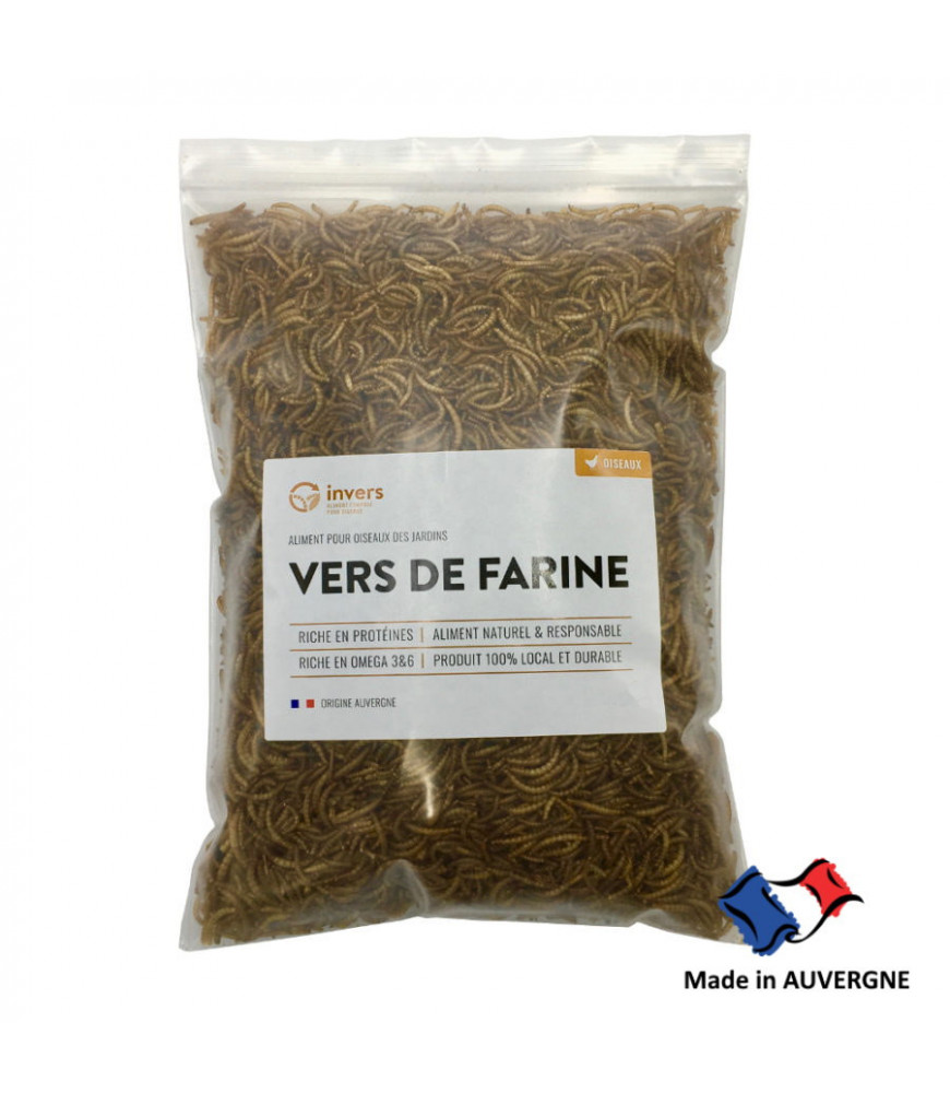 Vers de farine déshydratés INVERS 1kg Vers de farine déshydratés INVERS 1kg